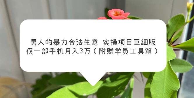 （5962期）男人的暴力合法生意实操项目巨细版：仅一部手机月入3w（附赠学员工具箱）-韬哥副业项目资源网