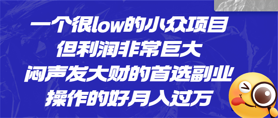 （6601期）一个很low的小众项目，但利润非常巨大，闷声发大财的首选副业，月入过万-韬哥副业项目资源网