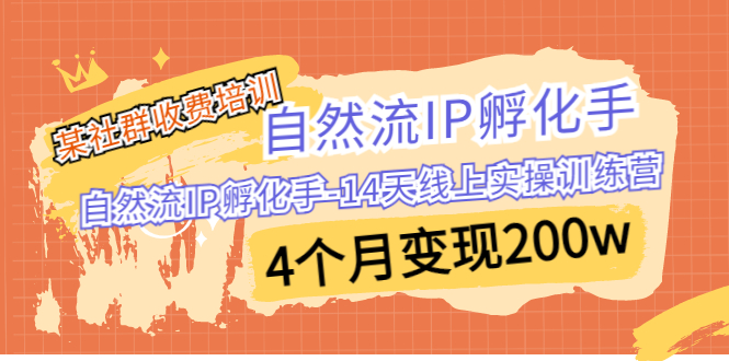 （6924期）某社群收费培训：自然流IP 孵化手-14天线上实操训练营 4个月变现200w-韬哥副业项目资源网