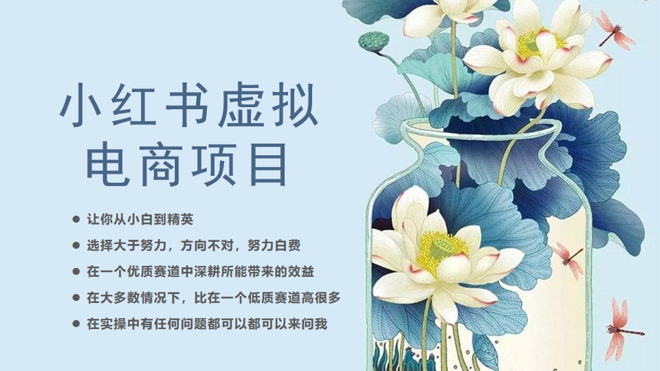 图片[1]-（6607期）小红书虚拟电商从0到1，让你从小白到精英（20节实操课程）-韬哥副业项目资源网