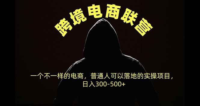 （20702期）跨境电商联营，一个不一样的电商，普通人可操作日入300-500+-韬哥副业项目资源网