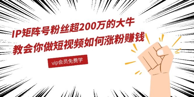 (1089期)IP矩阵号粉丝超200万的大牛:教会你做短视频如何涨粉赚钱(全套课程)