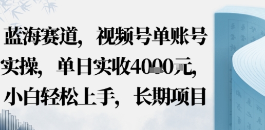 蓝海赛道，视频号单账号实操，单日实收1k，小白轻松上手，长期项目-韬哥副业项目资源网