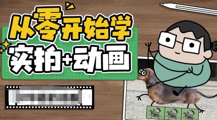 （6570期）从零开始学实拍加动画，实拍加动画创意教程（49节视频课）-韬哥副业项目资源网