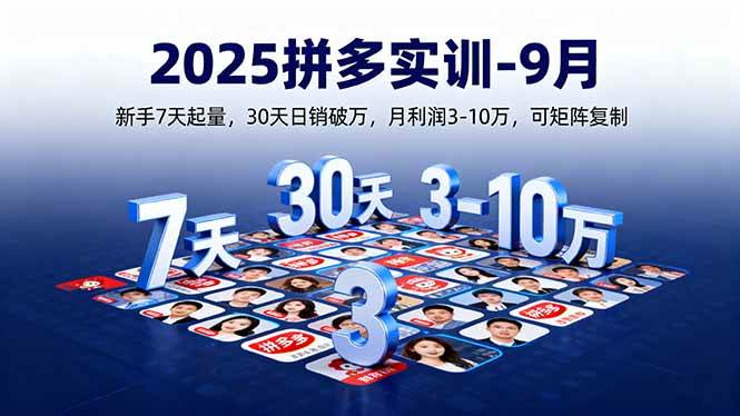 （16008期）2025拼多多实训-9月：新手7天起量,30天日销破万,月利润3-10万,可矩阵复制-韬哥副业项目资源网